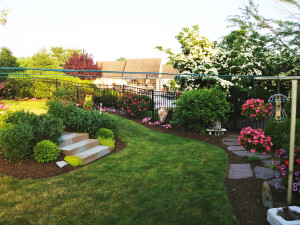 Backyard flowerbeds